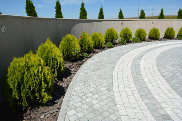 Best Residential Driveway Paver Services  in Lynwood, IL